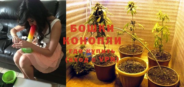 бошки Алексин