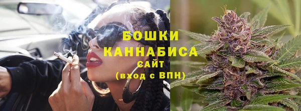 бошки Алексин