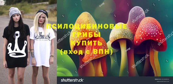 гидропоника Алексеевка