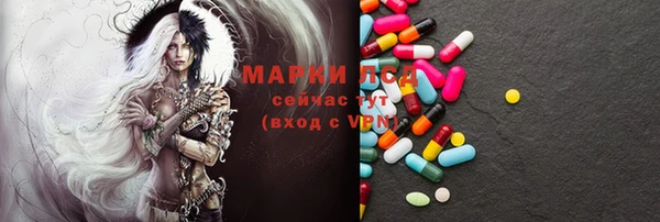 прущий лед Алзамай