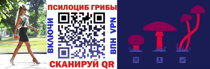 Галлюциногенные грибы мицелий  гидра зеркало  Белореченск 