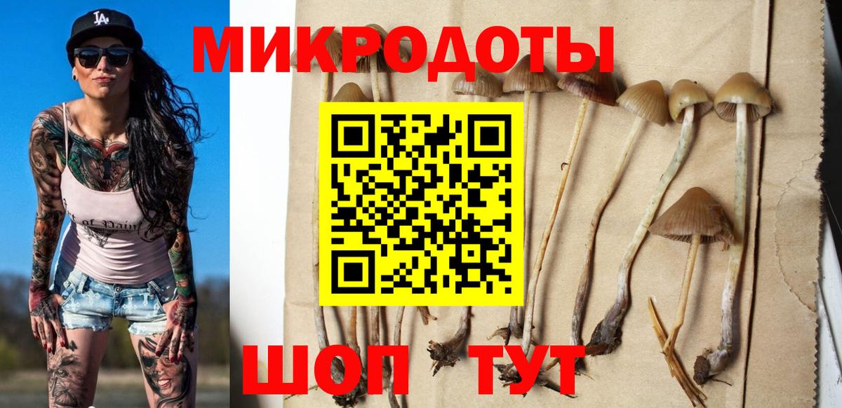 Белореченск  Галлюциногенные грибы Cubensis  Вход с VPN 